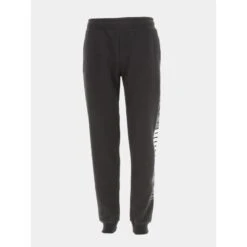 Jogging Fd Essential Llab Logo Vertical Noir Homme - Puma