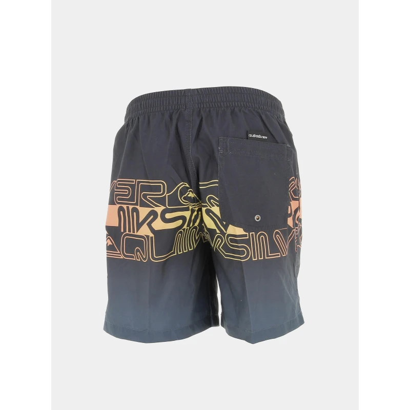 Short De Bain Everyday Wordblock Gris Homme - Quiksilver 4 Short De Bain Everyday Wordblock Gris Homme - Quiksilver – Image 2