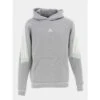 Sweat à Capuche Fi 3S Gris Homme - Adidas 2 Sweat à Capuche Fi 3S Gris Homme - Adidas -Teddy Smith Magasin sweat a capuche fi 3s gris homme adidas