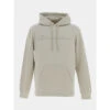 Sweat à Capuche Hooded Vert Sauge Homme - Champion -Teddy Smith Magasin sweat a capuche hooded vert sauge homme champion