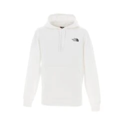 Sweat à Capuche Seasonal Graphic Blanc Homme - The North Face
