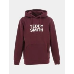 Sweat à Capuche Siclass Bordeaux Homme - Teddy Smith