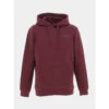 Sweat à Capuche Snark Bordeaux Homme - Teddy Smith -Teddy Smith Magasin sweat a capuche snark bordeaux homme teddy smith