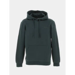 Sweat à Capuche Snark Vert Forêt Homme - Teddy Smith