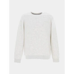 Sweat Snark Gris Homme - Teddy Smith