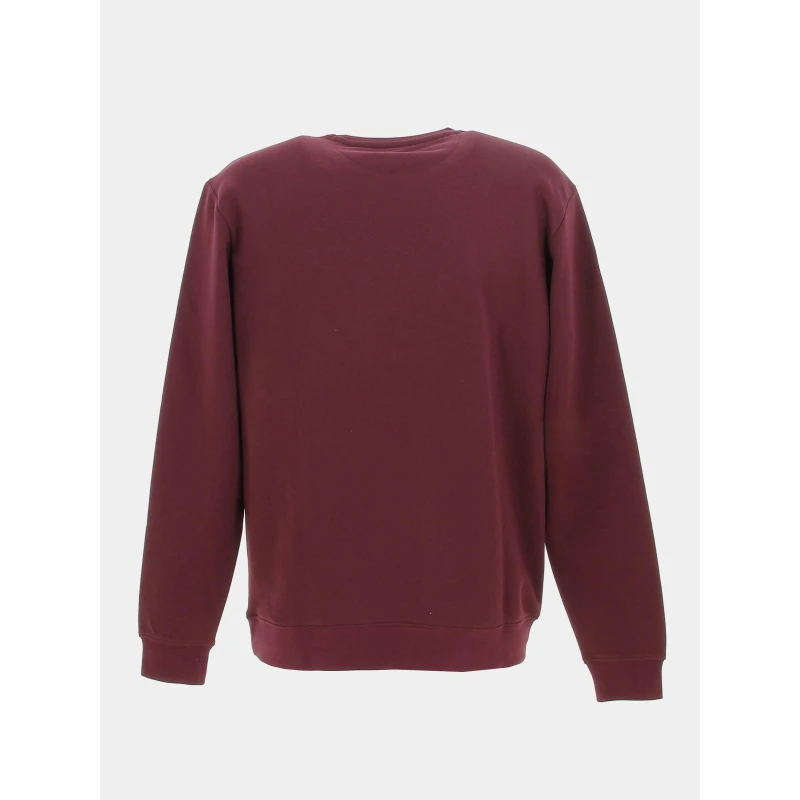 Sweat Snark Uni Bordeaux Homme - Teddy Smith 4 Sweat Snark Uni Bordeaux Homme - Teddy Smith – Image 2