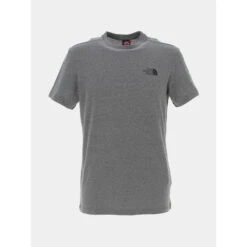 T-shirt Simple Dome Gris Homme - The North Face
